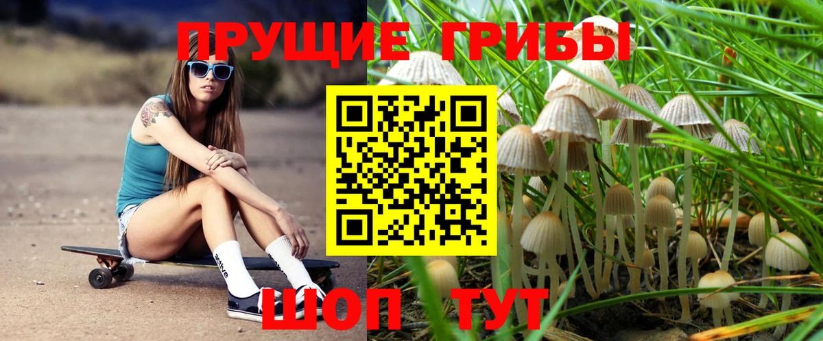 Галлюциногенные грибы ЛСД Пугачёв